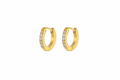 Huggie Hoop Earring