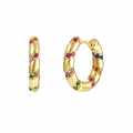 Colourful Small Hoop Earrings